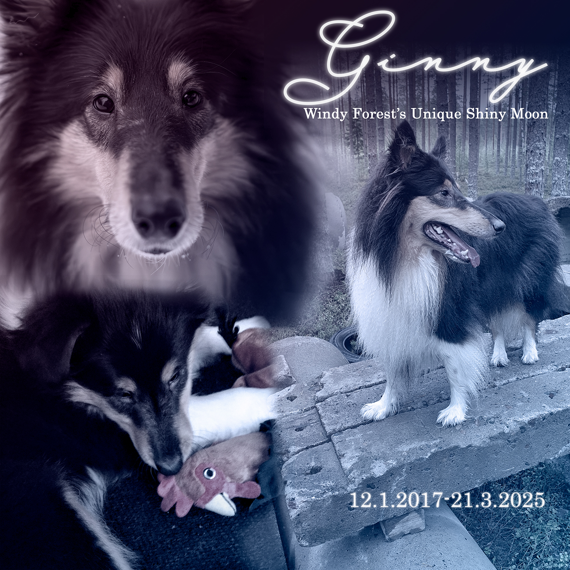 Ginny